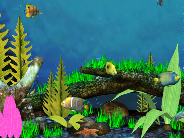 aquarium_big3.jpg