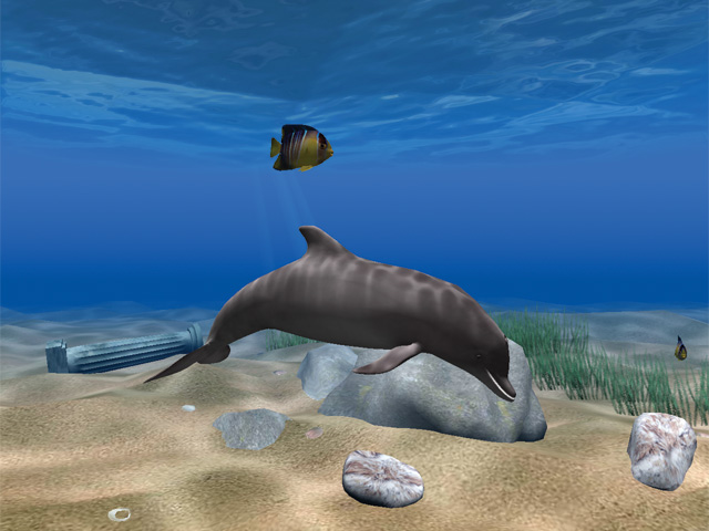 Dolphin Aqua Life 3D Screensaver screen shot