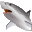 Shark Water World 3D Screensaver icon