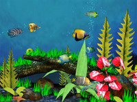 3D Screensaver Screen Shot