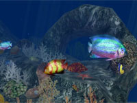Screen shot 1
